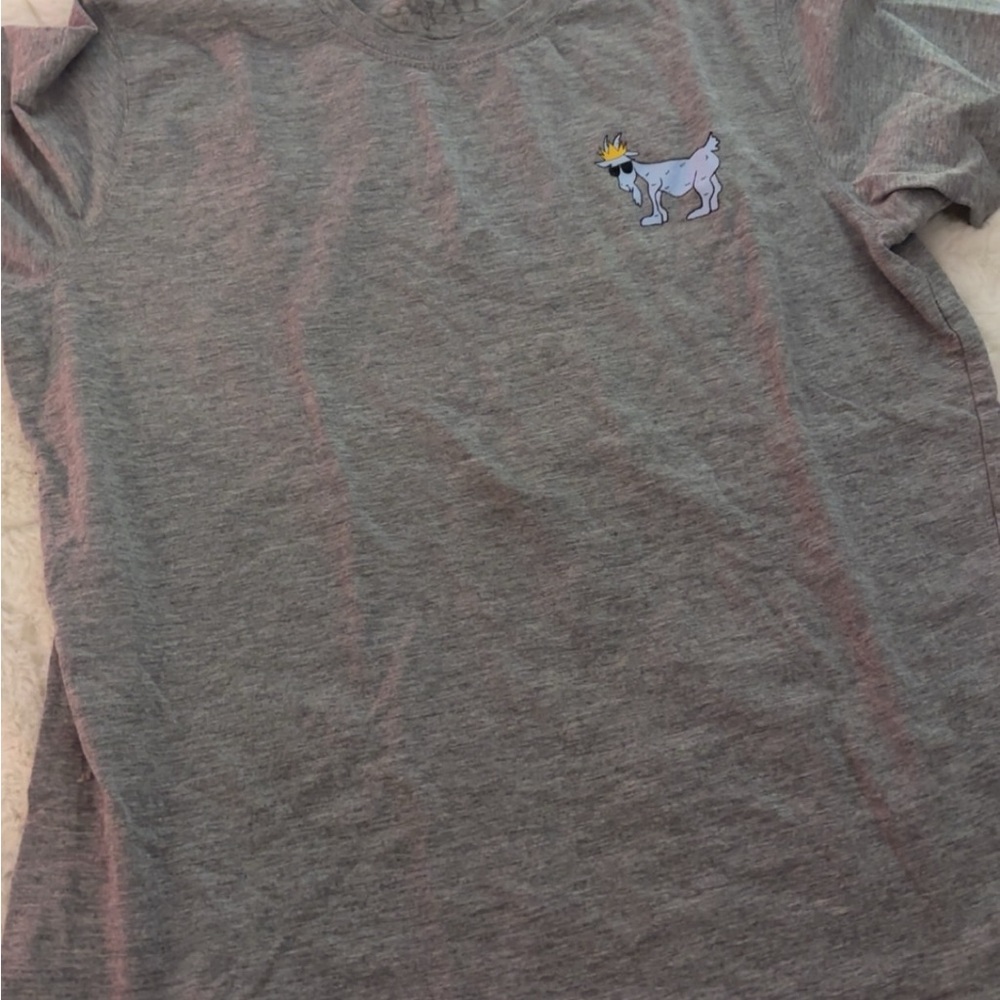 Gray T-Shirt with Dog Graphic